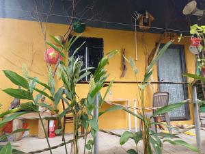 Rustic Homestay Lucky Home , 3 bedrooms, near the forest & near the sea