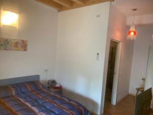 Agriturismo il Podere Vedelago con San Bernardo, Alpaca e una Pentola di cose da scoprire