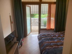 Agriturismo il Podere Vedelago con San Bernardo, Alpaca e una Pentola di cose da scoprire