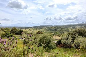 Villa NiLo Natura - Rustic Mountain Charm