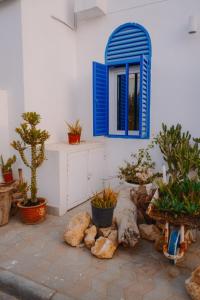 Bustan Shells House
