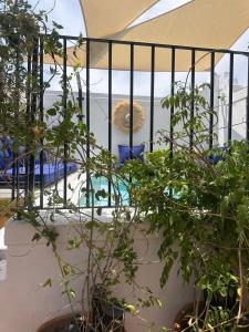 Riad Le Grizzly