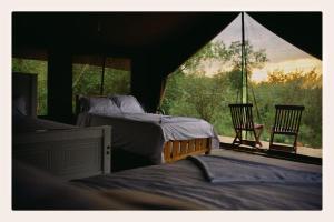 Mara king safari tented camp