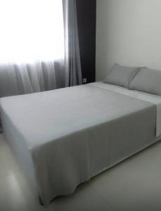 Greystones Apartment
