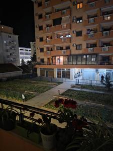 Apartman Fikus