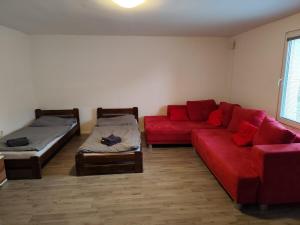 Family House Renovated, 3x Parking, Most pri BA