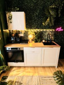 Le Studio Jungle climatisé