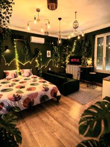 Le Studio Jungle climatisé
