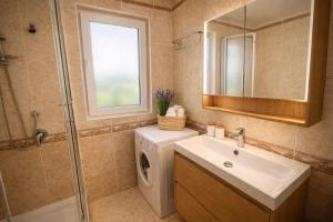 Apartment Concetta