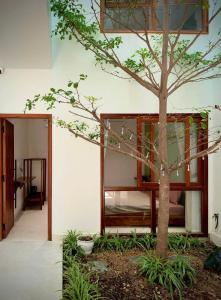 An House Homestay