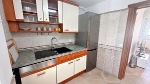 AP322 - Mirlo