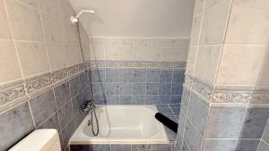 AP322 - Mirlo