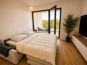 Blue Lagoon Stay