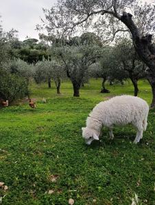 Emilia Vacanze