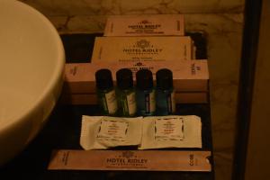 Hotel Ridley International