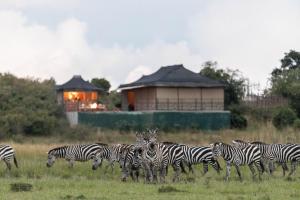 Entalet Mara Camp