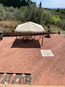 Apartment immersed in Chianti