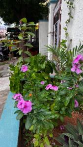 Boutique Bungalow 458