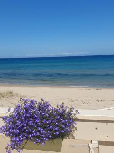Villa Maddalena guest house