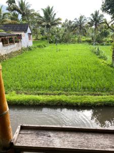 Upus Homestay