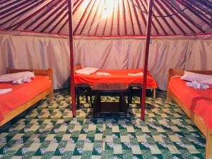 Saijrakh Gobi Camp