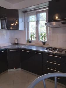 Apartment Flores with Garden & Sea View