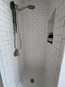 Jungle House Studio Suites - Short North & Convention Center