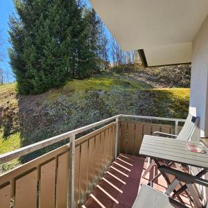 FeWo Schwarzwaldglück Todtmoos mit Sauna, Tischtennis, Fitness