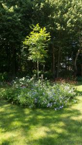 Appartement Zuiderstrand