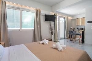Magma Urban Stay