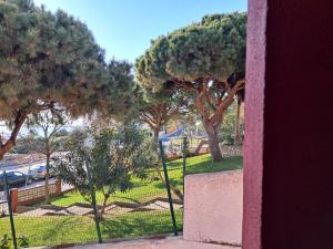 Brisa Marina Apartamento 207A