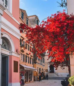 Leone Old Town Apartment