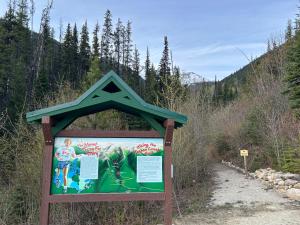 Cougar Mountain Lodge and Resort Cabin Rentals