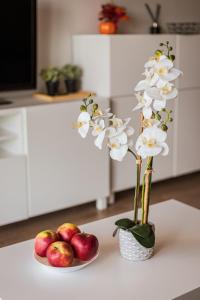 Krakowska 39 Deluxe Apartment with Balcony by UniqueRent