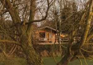 Willow Lodge