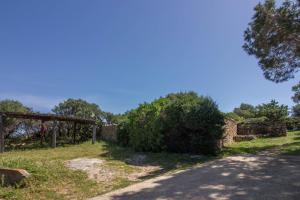 GuestHost - Splendid Terrace Apartment near Palau