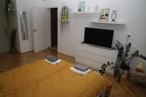 Casa Viola