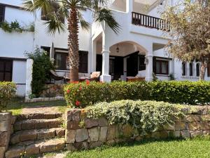 Cabo garden