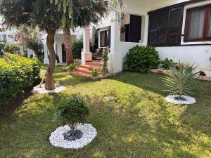 Cabo garden