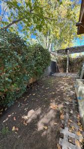 Bright House in Mendoza with Swimming Pool