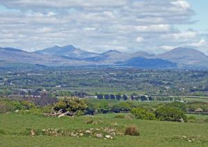 Henllys Bach