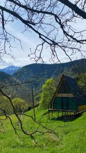 Forest house - ტყის სახლი