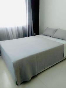 Greystones Apartment