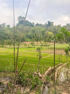Moksha eco villa Ella