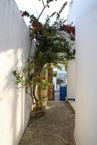Villa Luce del Sud - Artemisia Homes