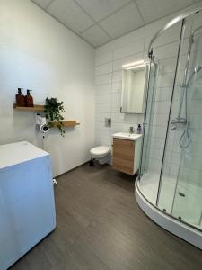 Modern Apartment near KEF Airport