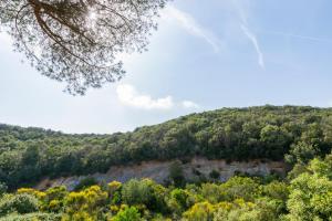 Azienda Agricola Club Le Cannelle