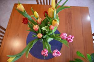 AleCarly Home img10