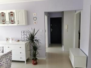 Apartament P&M