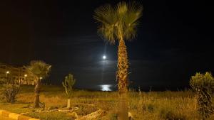 Apparemment de luxe Asilah Marina Golf